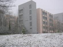 Χειμώνας 2008